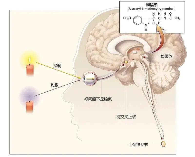 孩子晚上睡觉必须全黑环境，一点光都没有吗？