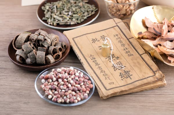 脾胃虚弱吃什么药调理好