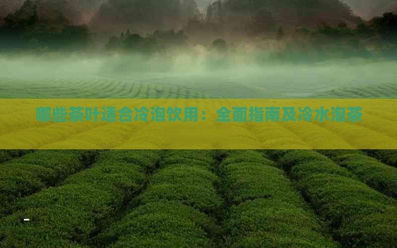 冷泡茶全攻略：什么茶适合冷水冲泡？
