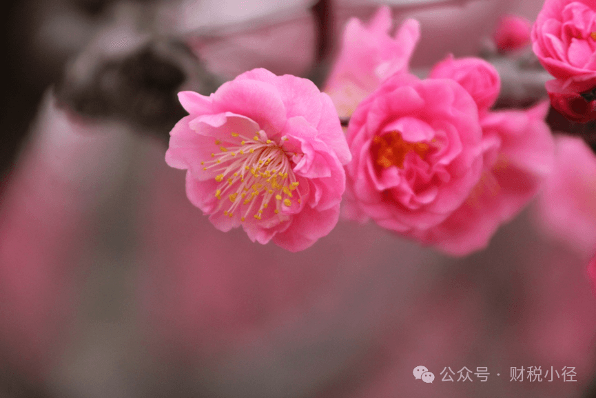 干货：企业所得税费用扣除问答系列——业务招待费梳理及相关法规简介