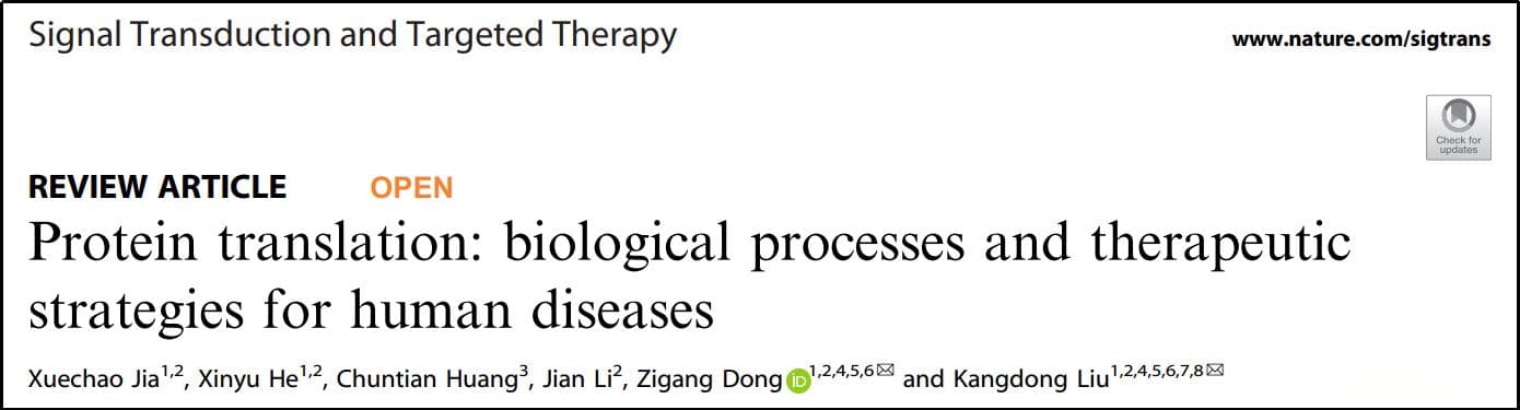 高分综述 | 蛋白质翻译：人类疾病的生物学过程和治疗策略