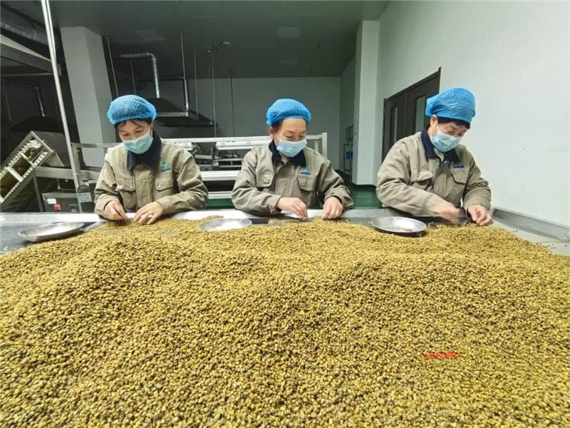 保定：千年文化做“引” 做强中医药产业链