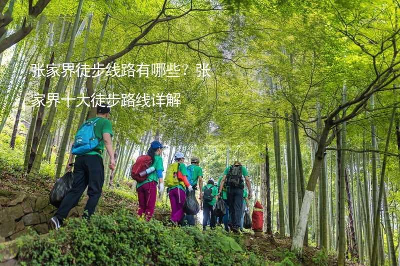 张家界十大徒步路线详解：从梦幻十里到玻璃栈道