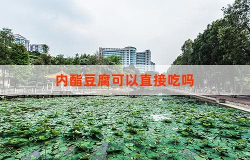 内酯豆腐可以直接吃吗？一篇文章带你了解内酯豆腐的食用方法