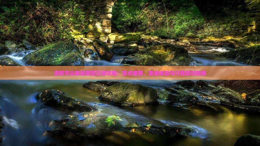 清明节云南昆明四日游攻略：景点推荐、美食体验与行程规划指南