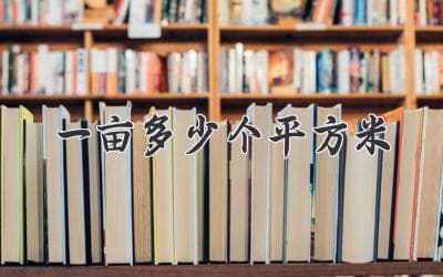 一亩到底有多大？面积换算知多少？