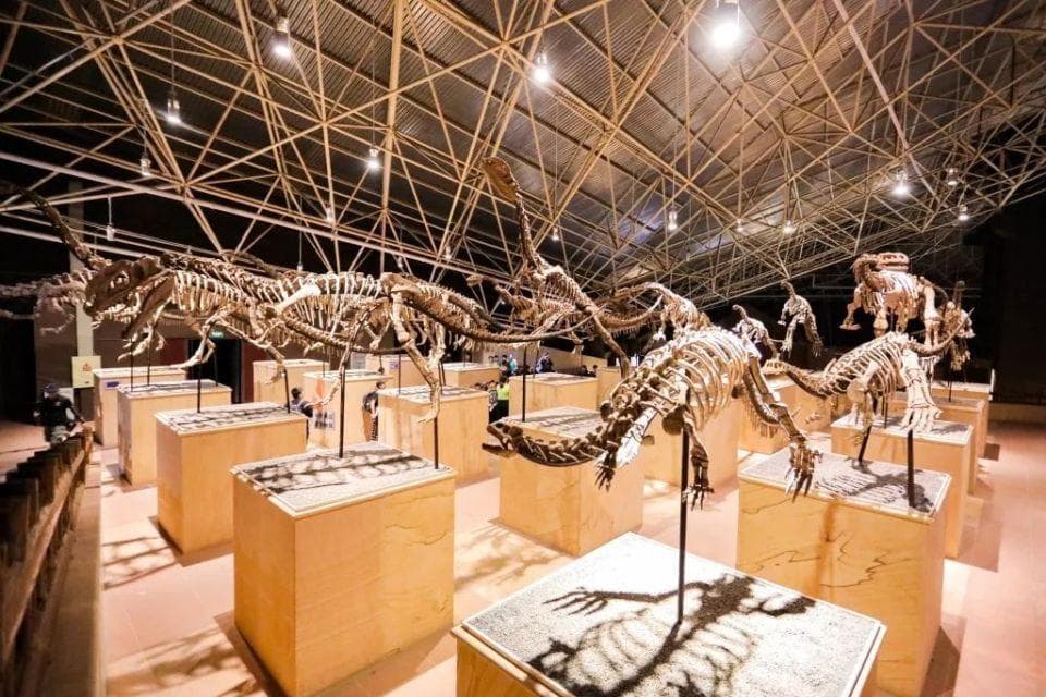文旅热起来 经济火起来——楚雄州推动旅游高质量发展