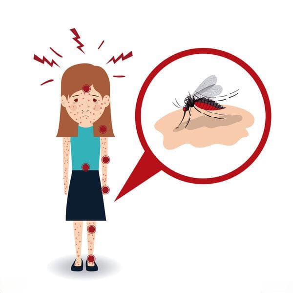 蚊虫叮咬后擦什么药膏？五种常用药膏详解
