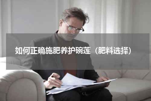 如何正确施肥养护碗莲（肥料选择）