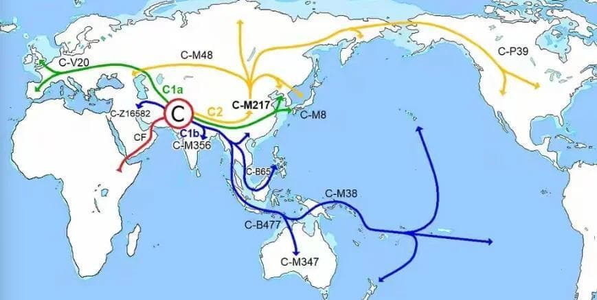 绳文人和弥生人是日本历史上的两个重要族群