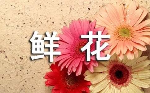 描写鲜花的古诗句