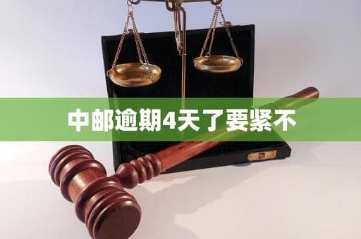 中邮快递逾期4天怎么办？原因分析与应对指南