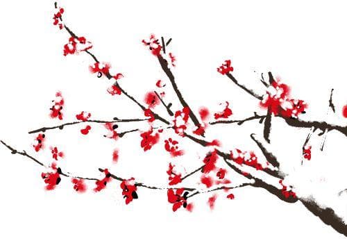 华南农业大学赏花攻略：樱花、紫荆花、勒杜鹃等你来打卡