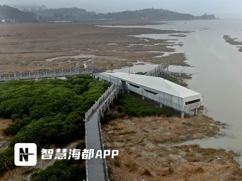 闽江河口湿地公园景观升级，打造沉浸式湿地观光新体验