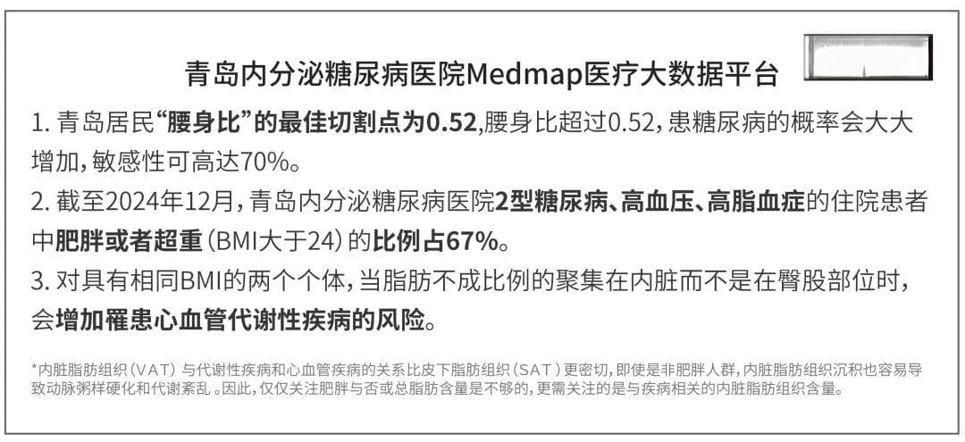 不可忽略的“它”——内脏脂肪