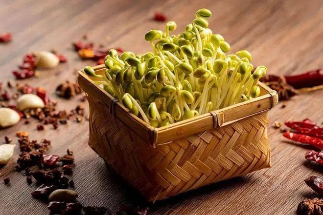 “春吃芽，病不沾”！这5种芽菜不吃亏大了！