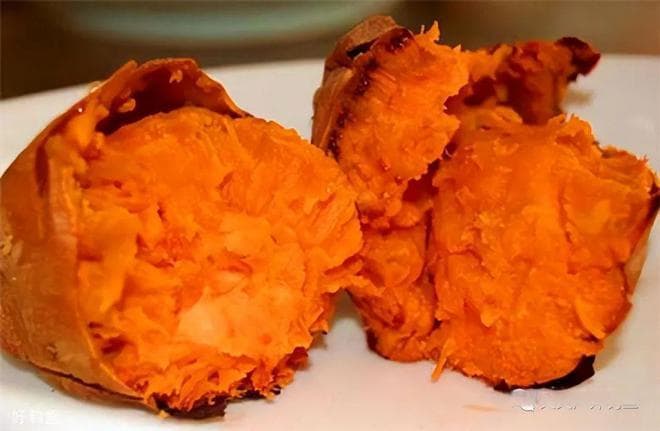 深秋野钓鲤鱼，4个香甜饵料配方，绝杀毫不含糊