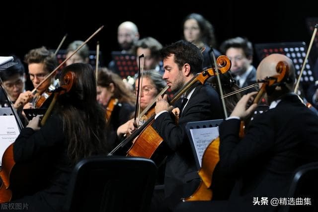 指挥家到底在台上比划啥？三分钟让你看懂交响乐的门道