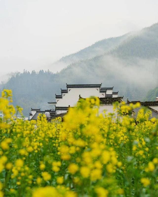 十首清明诗词解析：古典意象中的生命哲思与当代回响