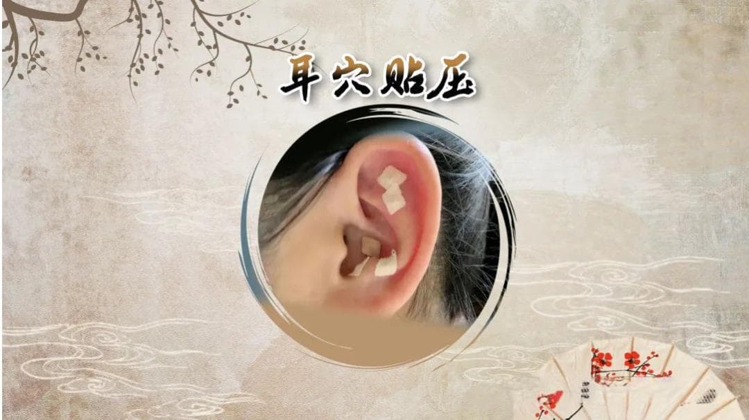【中医科普】耳穴贴压的适应症和注意事项
