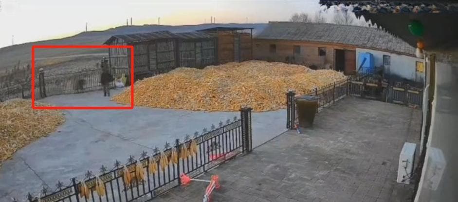 老虎咬伤村民，当地还在搜寻！被野生动物咬伤，有什么维权途径？