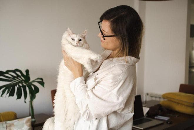 猫咪吃什么东西毛发柔顺发亮