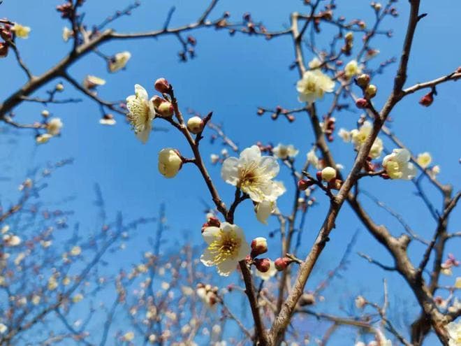 从《霸王别姬》悟领导力：项羽刘邦的成败启示