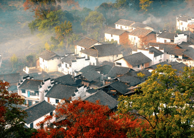 婺源旅游避坑指南：这才是本地人私藏的"最美路线"！