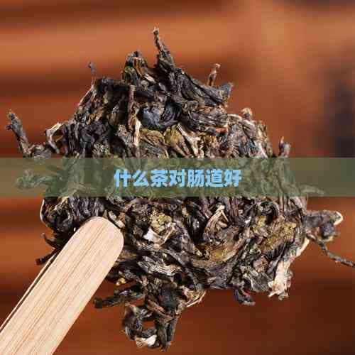 什么茶对肠道好
