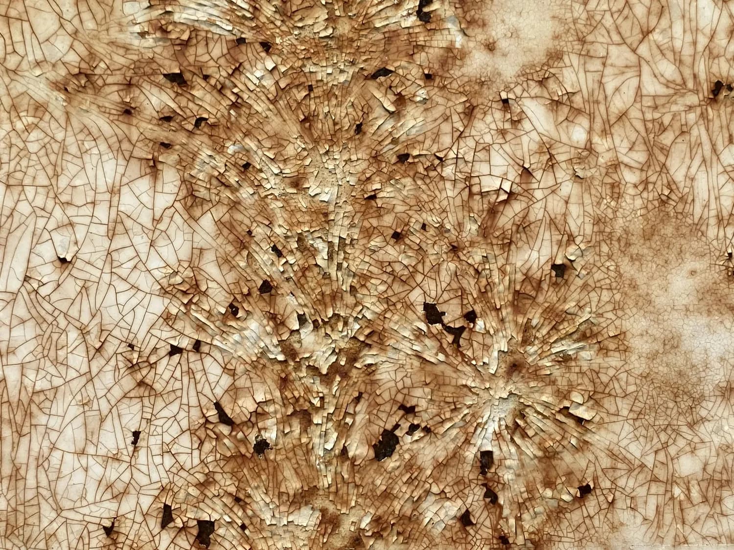 猪皮真的能抗老防皱吗？科学解读与实用建议