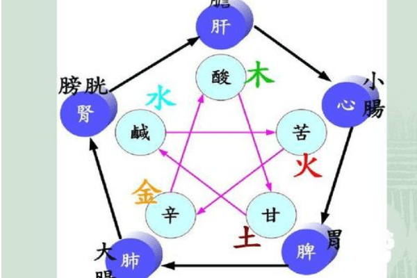 五行属木的有哪些东西？