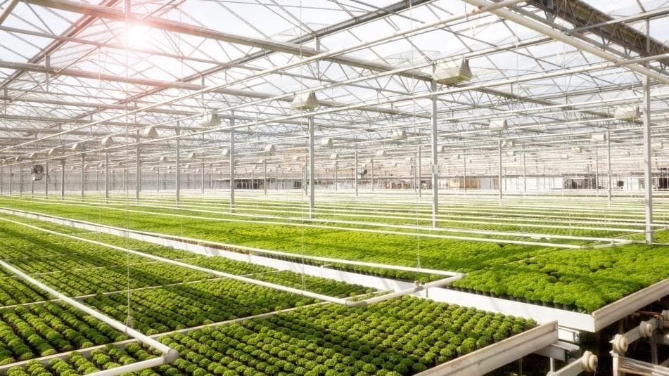 智能水凝胶实现温室节水44.9%，破解农业用水难题