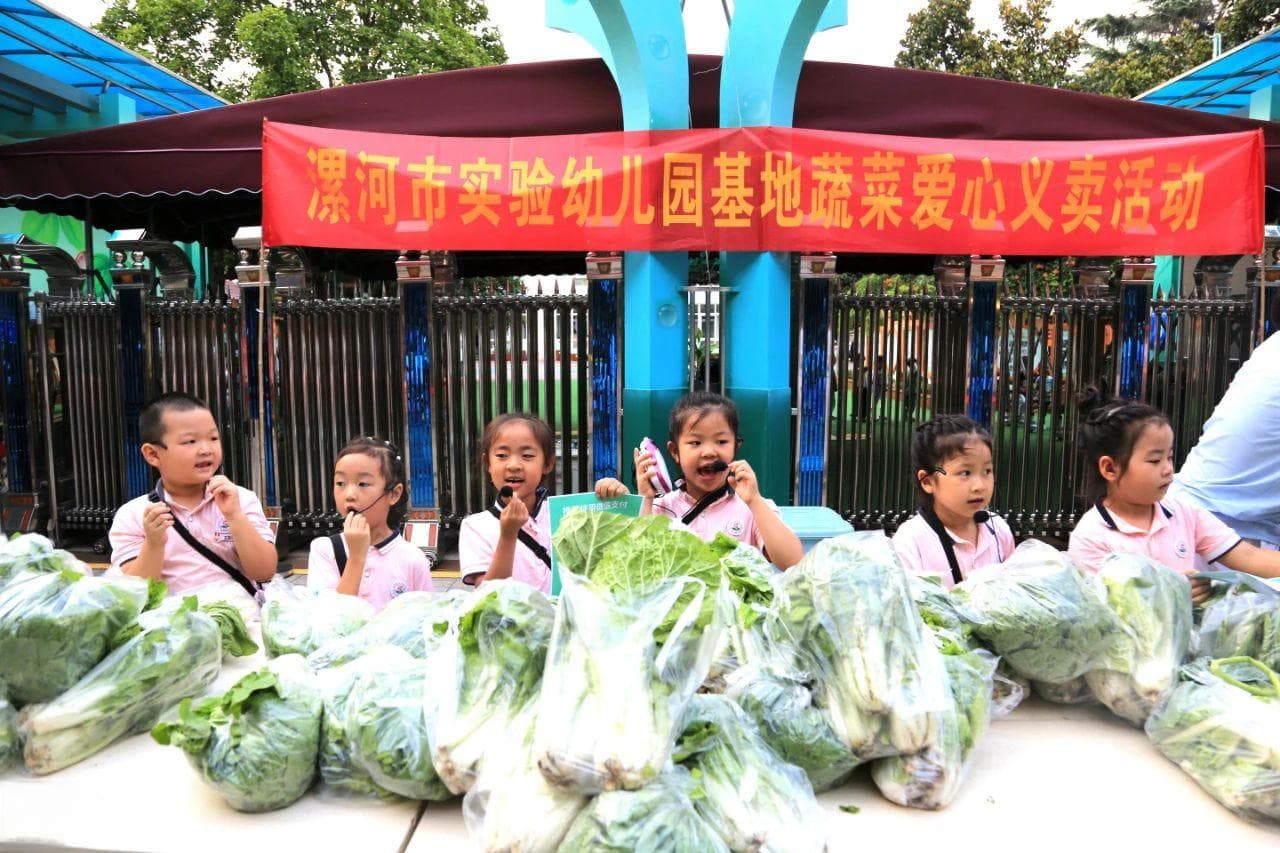 潘伟红：深耕食育五步走，让幼儿多方位感受食物的美妙和劳动的快乐