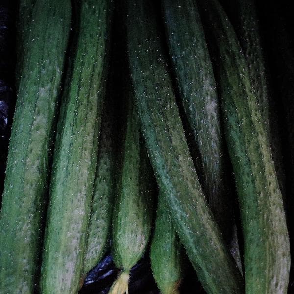 厨房洗菜盆怎么选