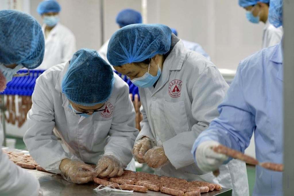 河南漯河：加力促进健康食品从研到产