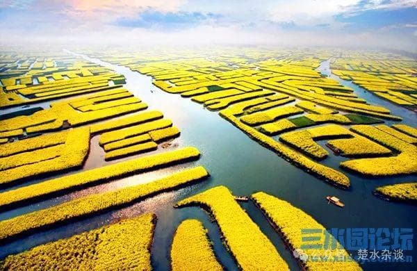 兴化千垛景区 2025 揭秘：当千年农耕文明遇见现代文旅新生态