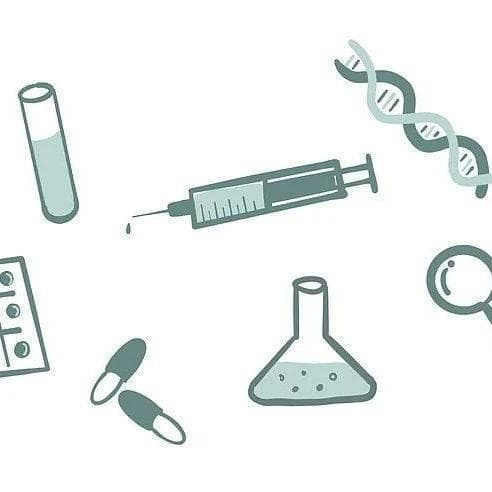 什么是DNA甲基化？——生物体重要的表观遗传修饰机制