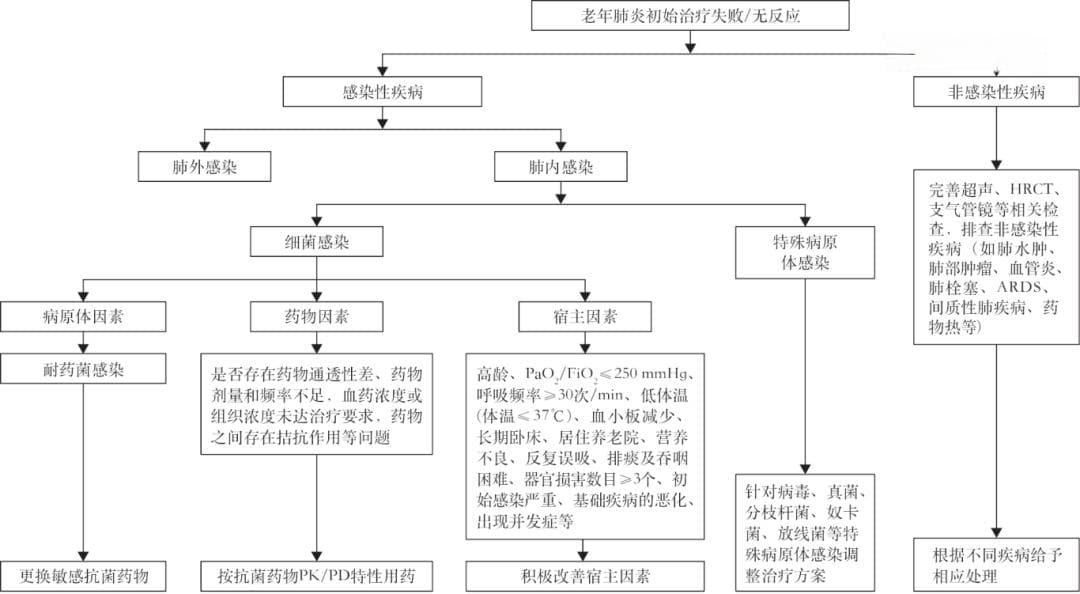 专家解读《老年肺炎临床诊断与治疗专家共识（2024年版）》：治疗和预防指南