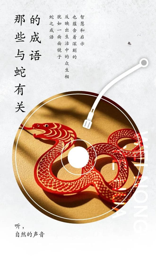 与蛇有关的成语：从杯弓蛇影到笔走龙蛇