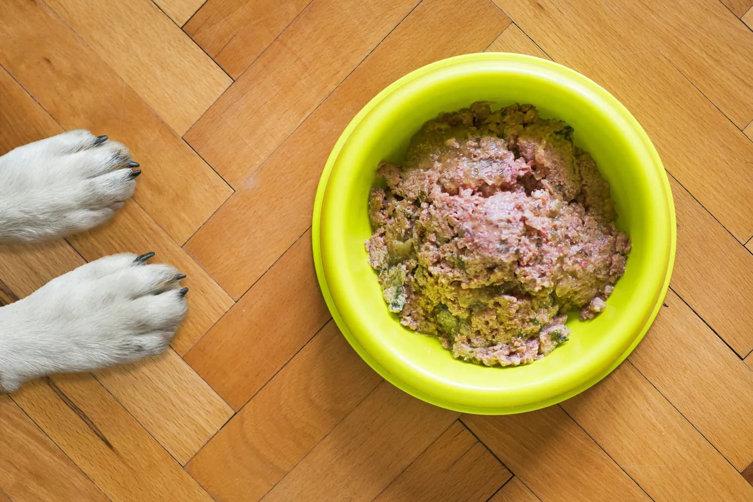 自制宠物食品：新宠主的健康之选？