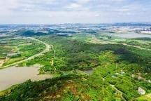 “以龙为灵”：武汉龙灵山景区景观设计