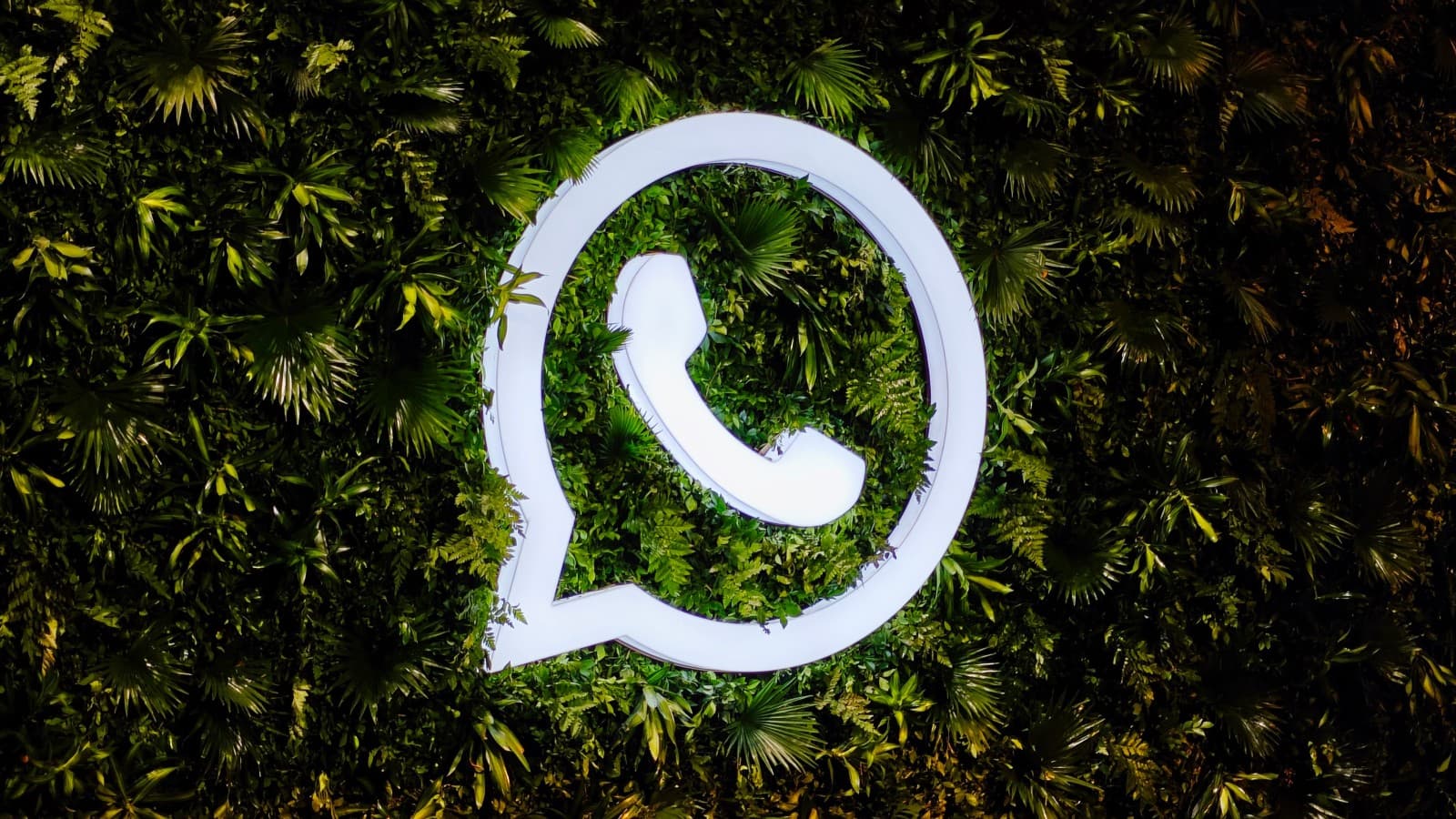 WhatsApp是什么？完整指南：功能、注册、下载与常见问题解答