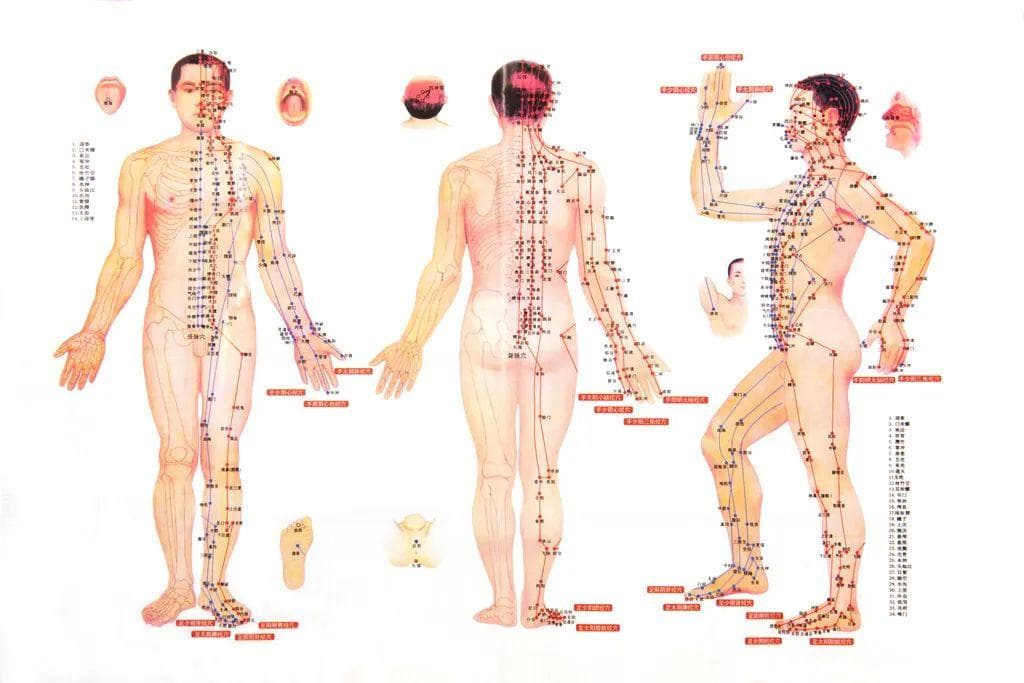 穴位按一按，百病不上身！每天坚持按揉，降压、强心！