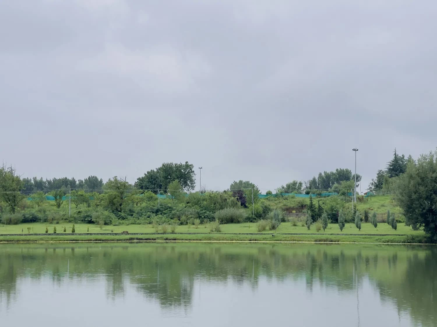 周末打卡！龙湾湿地&旗峰公园，你更爱哪个？