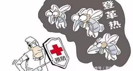 什么是登革热？我们该如何预防？