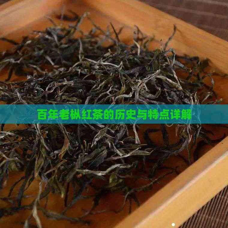 百年老枞红茶的历史与特点详解