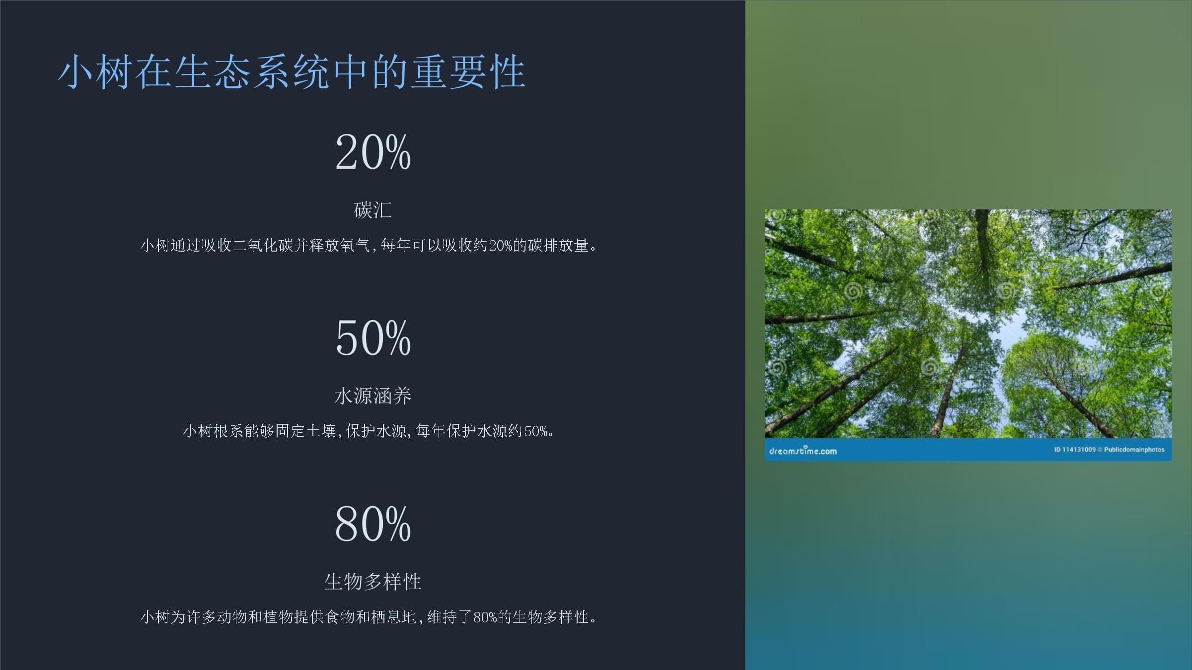 小树养殖完全指南：从基础理论到实践操作