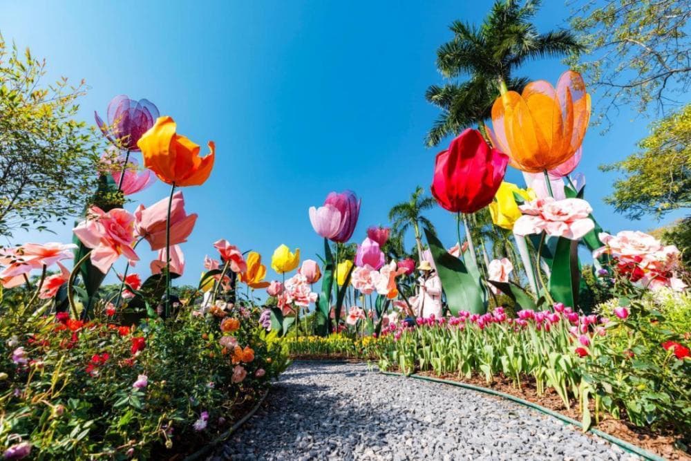 2025广州九大公园春节花展活动指南