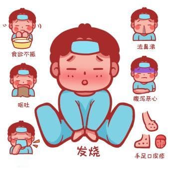 手足口病科普：症状、传播途径与预防措施全解析