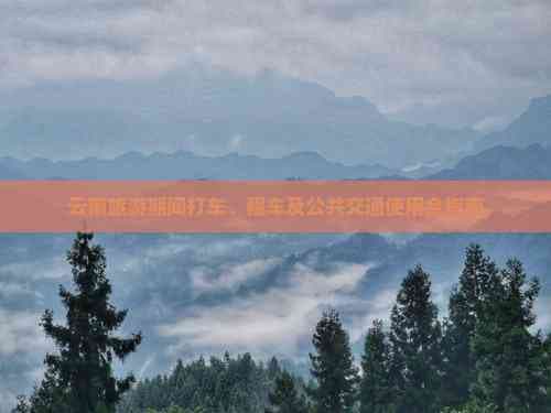 云南旅游期间打车、租车及公共交通使用全指南